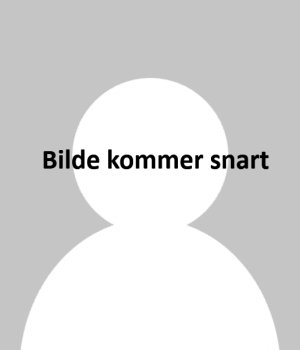 Bildekommersnart